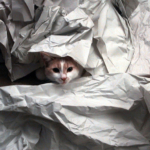 packing paper